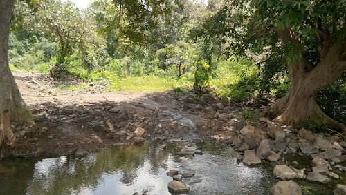 Jhansi