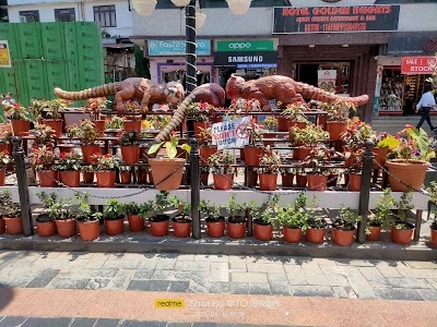 M.G MARKET