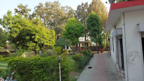 Basantpur Canal