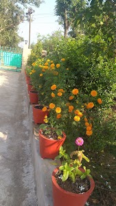 Barapada