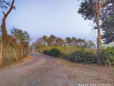 Oodlabari Tea Factory