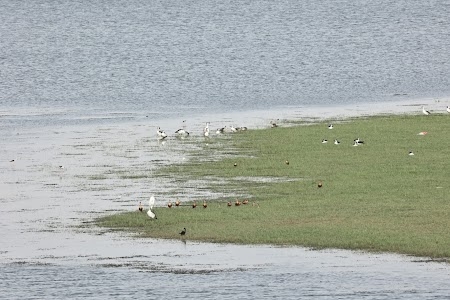 Ramsagar Wild Life Sanctuary