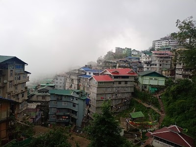 Sesa Golai