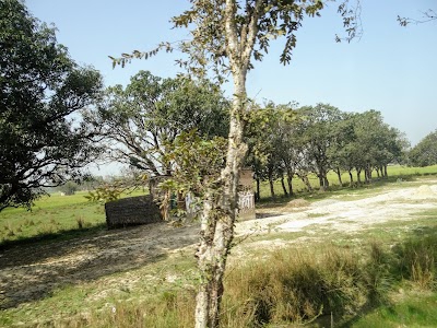 Nagar