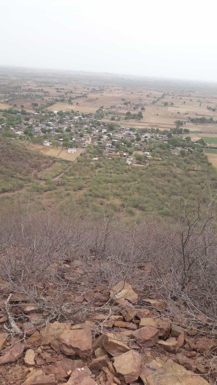 Bisdhari