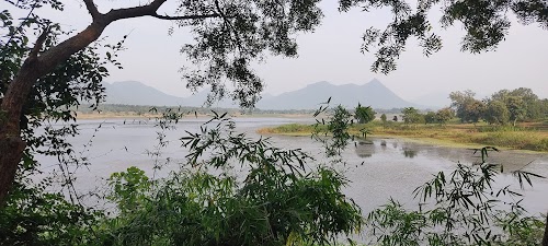 Vatra Jore