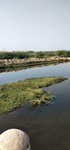 Barala