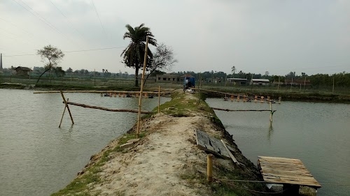 Jalpai Part-II