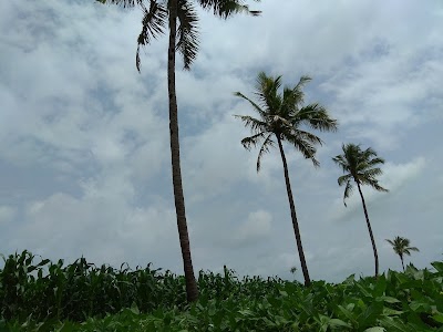 Voice of Village
