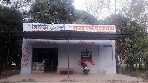 Tehri Dhukri
