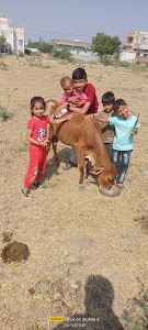 Boricha samajni vadi,sukhsagar society,bhagwati para,rajkot