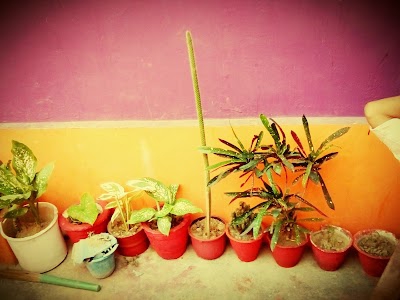 Asha Bhavan