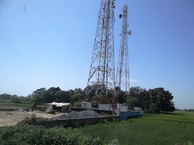 Bijauli