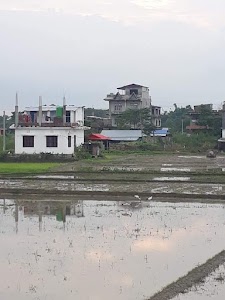 Pakali
