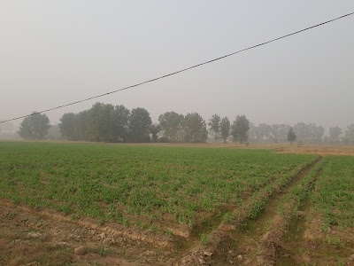 Manawala
