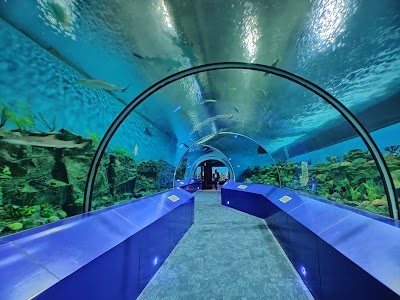 Aquatic Gallery-Science City