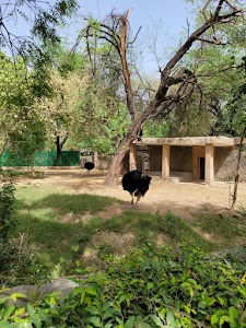 Zoo