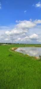 Gankar
