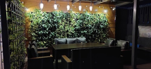 Forest Deck