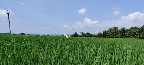 Kabar
