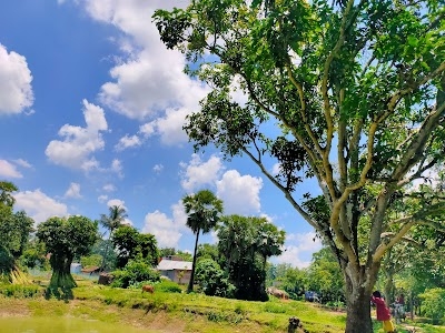 Khayerbari Balihar High School