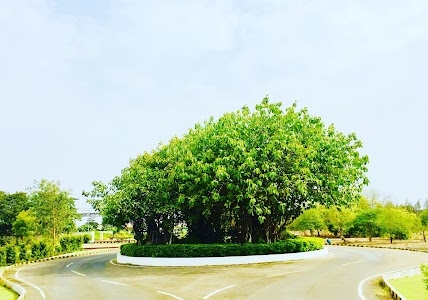 GCPTCL