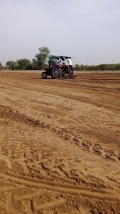 Nagala semar