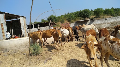 Ghopal Goshala Hataa Naik