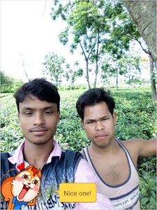 Naothoa Tea Garden Football Ground
