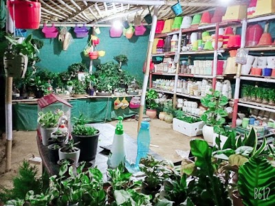 Lovely Nursery