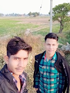 Surja