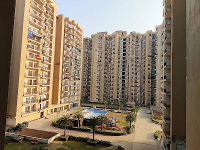 Aims Golf Avenue 1