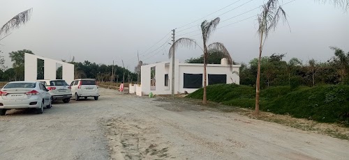 Casa Greens