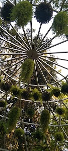 Empress Garden, Kavade Mala, Ghorpadi