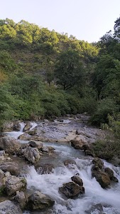 Shikhar Fall