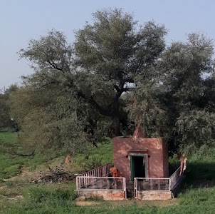 Jasnath Ji Temple