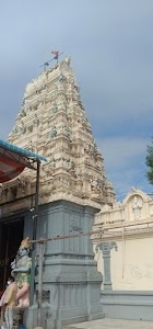 Pedakakani