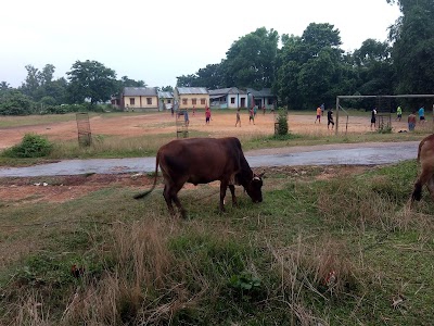Maira Chari High School