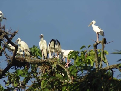 DikhowMukh