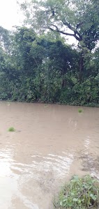 Kumbhi