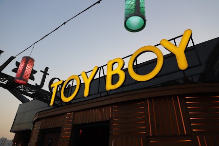 TOY BOY