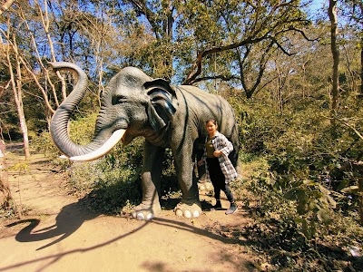 Anand Van