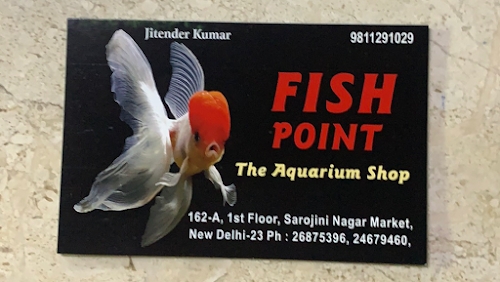 Fish Point (Best Aquarium Shop)