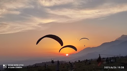 Bir Billing Paragliding