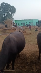 dughati (kasganj)