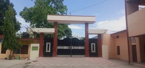 Govt Sen. Sec. School, Bassi Wazid