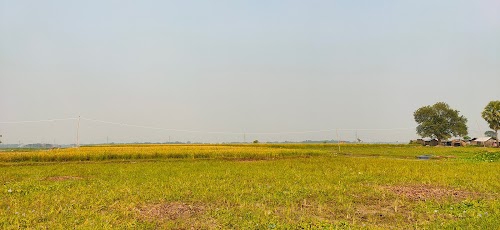 Kumaripur