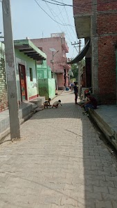 Solanki house
