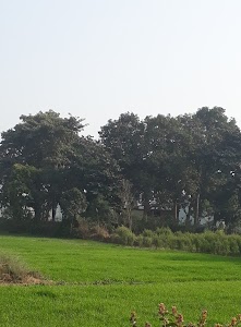 Bhairo Mandir