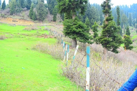 Sita Haran